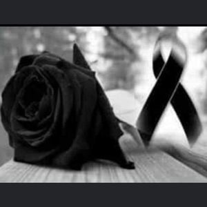 Meet your Posher, Gregorio